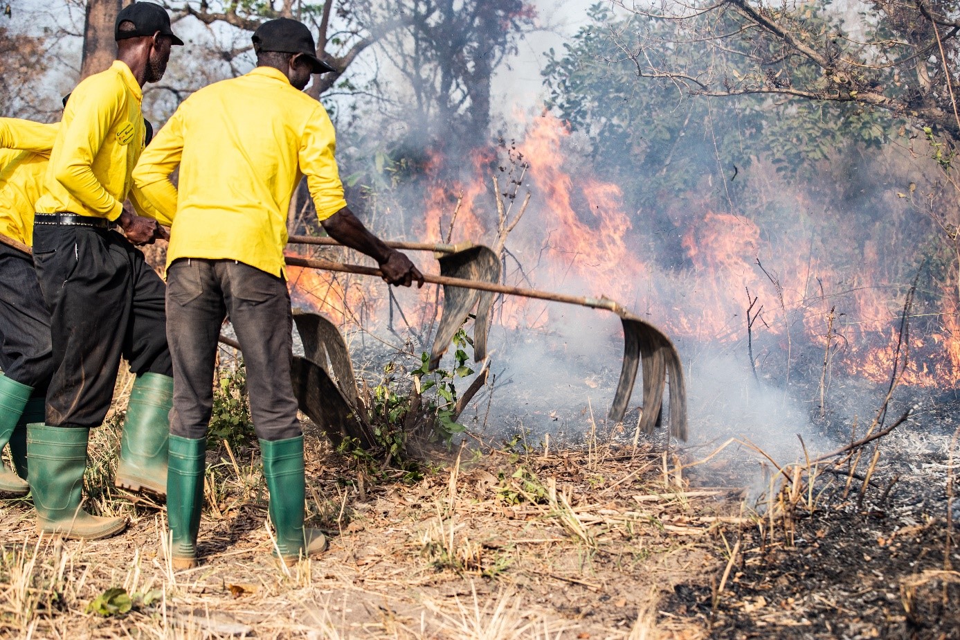 Community based fire management-approach reduces wildfires 